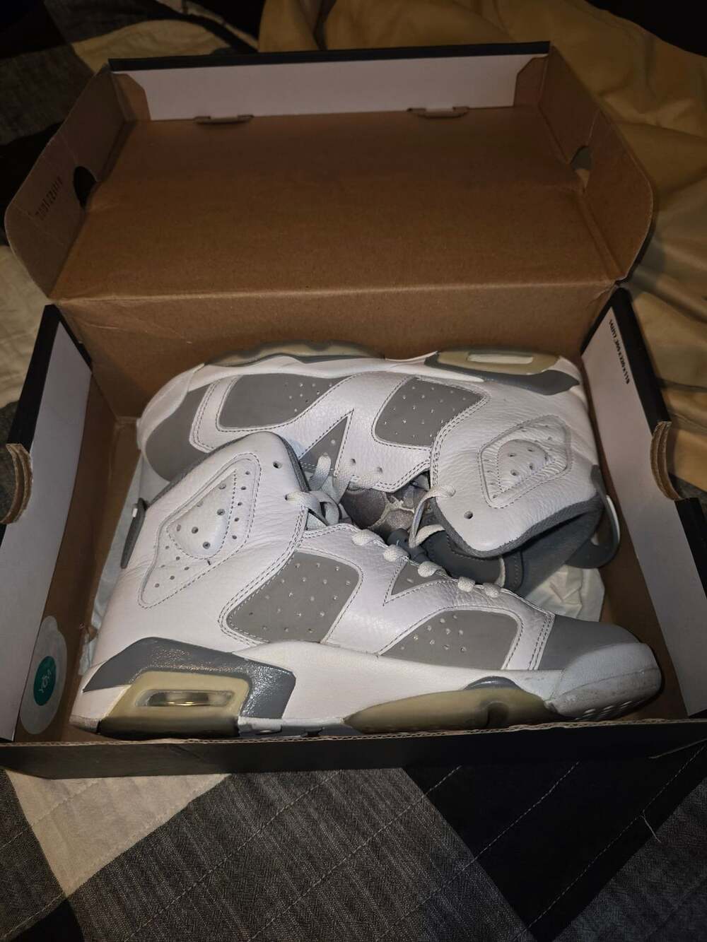 Nike Air Jordan 6 Retro Cool Grey